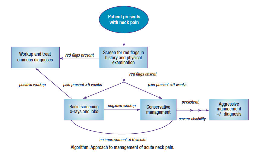 6 Nursing Considerations for Patients With Neck Pain