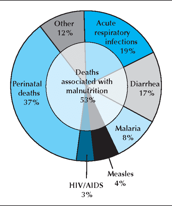 Addressing Malnutrition in Developing Countries