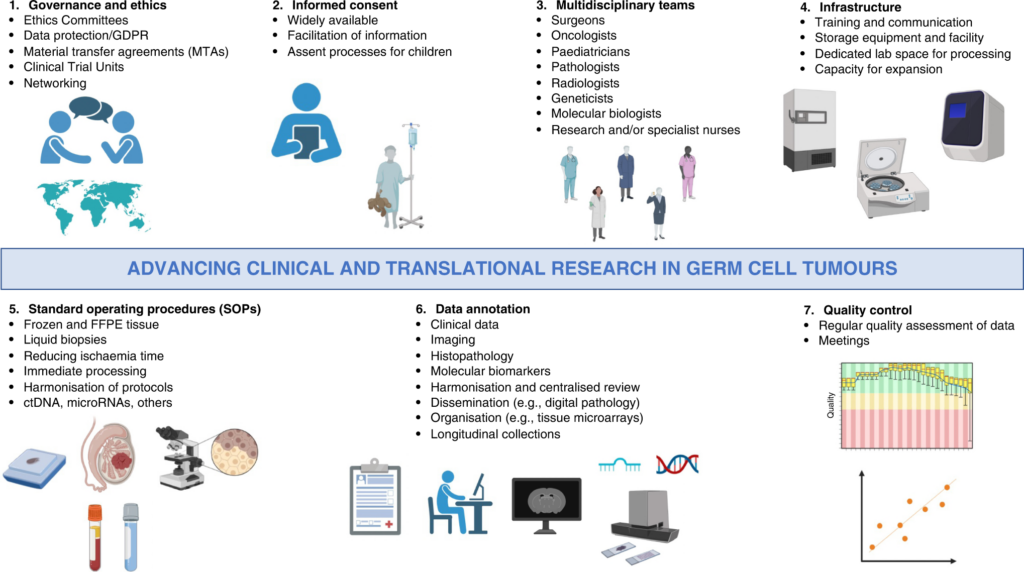 Advancements in Germ Cell Tumor Research