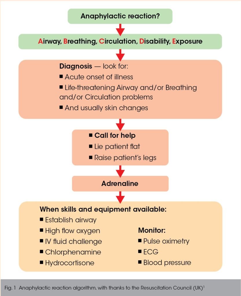 Anaphylaxis Treatment: A Comprehensive Guide