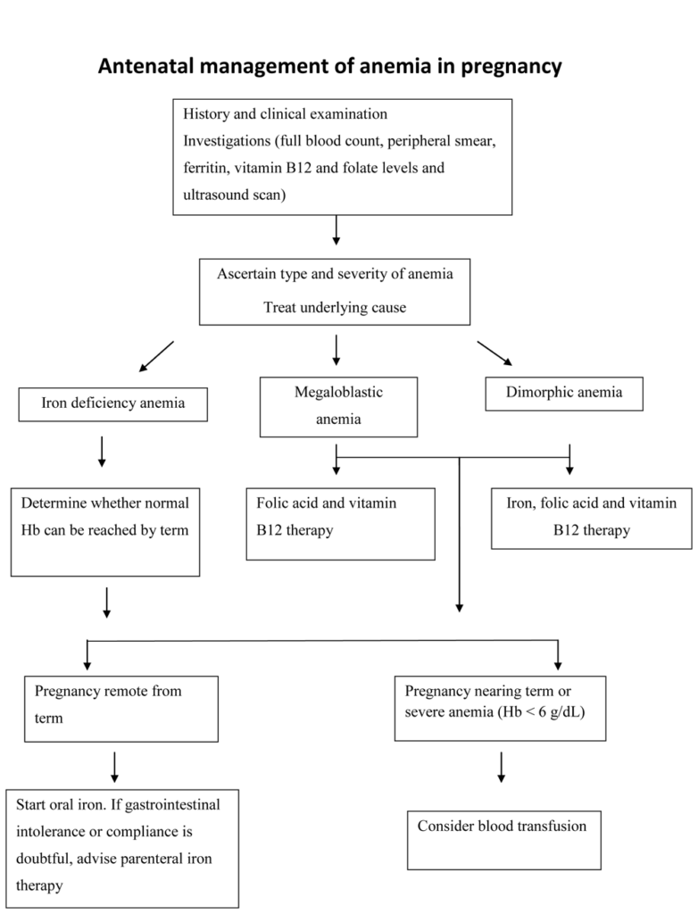 Anemia in Pregnancy: Effects and Solutions