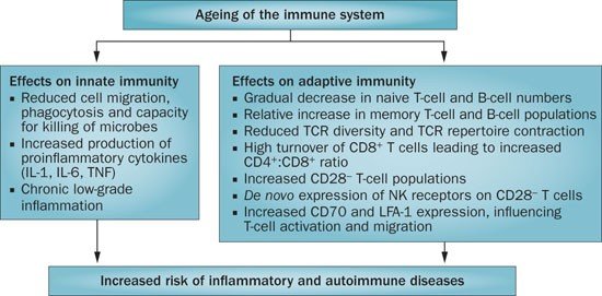 Arthritis in Older Adults: Age-Related Factors and Coping Mechanisms