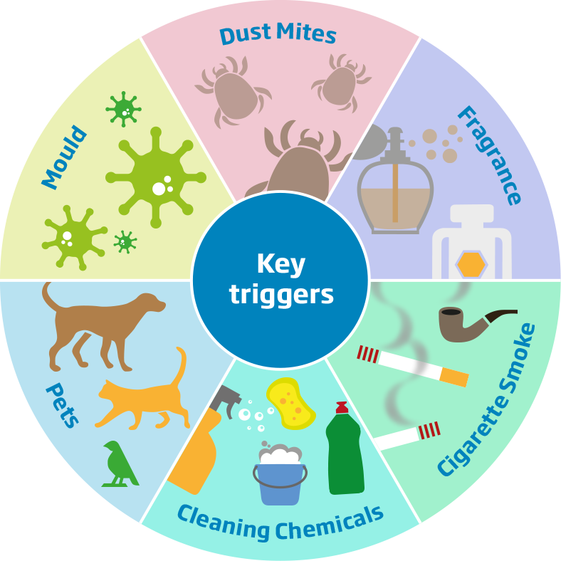 Asthma Triggers: Identifying and Avoiding Common Allergens