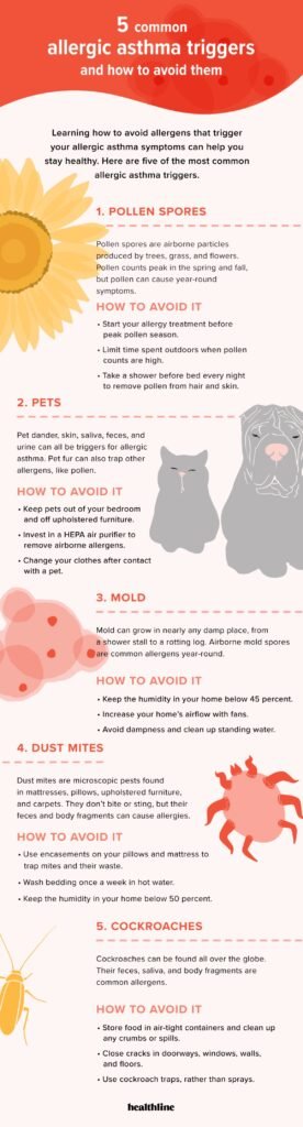 Asthma Triggers: Identifying and Avoiding Common Allergens