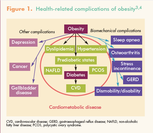 Best Nursing Considerations for Obesity Management Best Nursing Considerations for Obesity Management