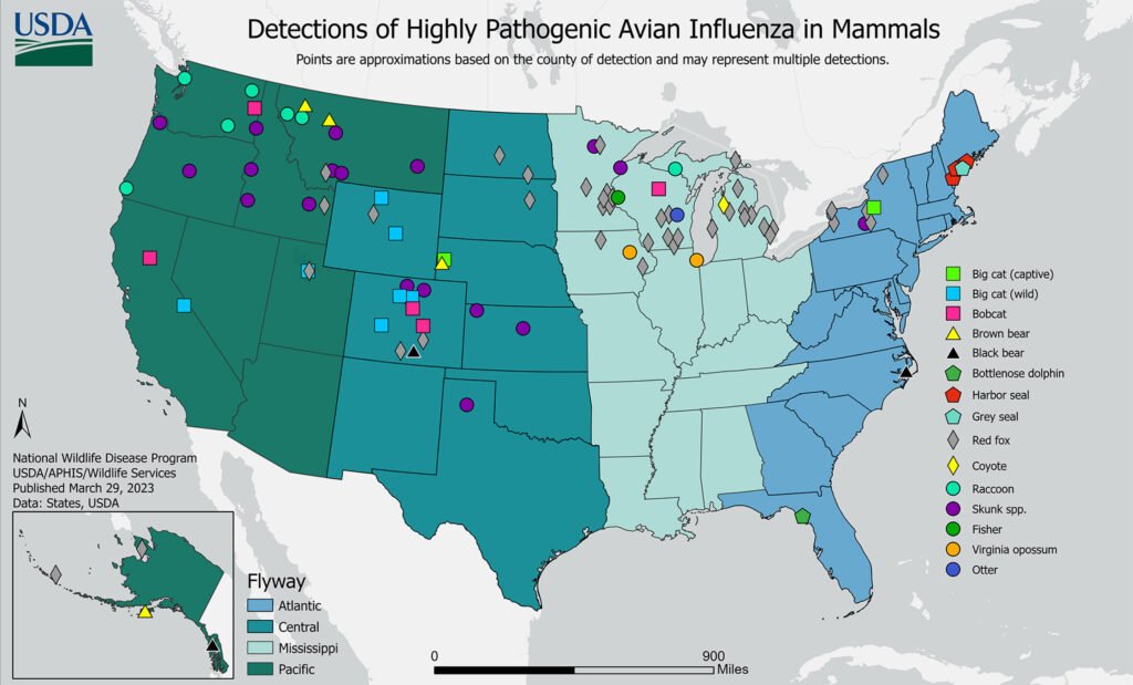 Bird Flu Outbreak: Latest Updates