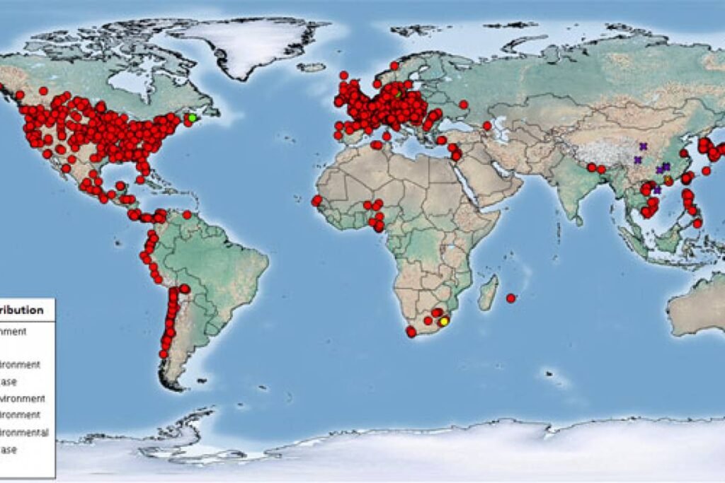 Bird Flu Outbreak: Latest Updates