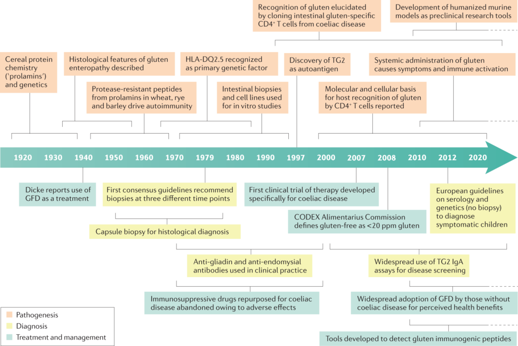 Celiac Disease Research Advances