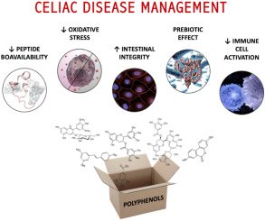 Celiac Disease Research Advances