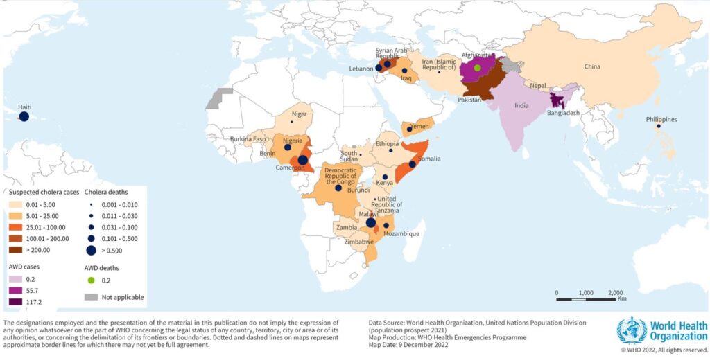 Cholera Epidemics: Global Impact and Response
