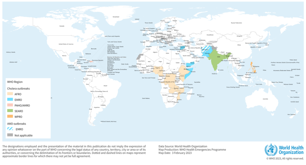 Cholera Epidemics: Global Impact and Response