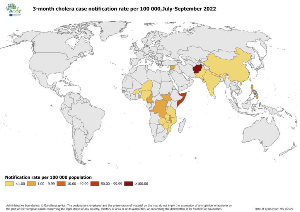 Cholera Epidemics: Global Impact and Response