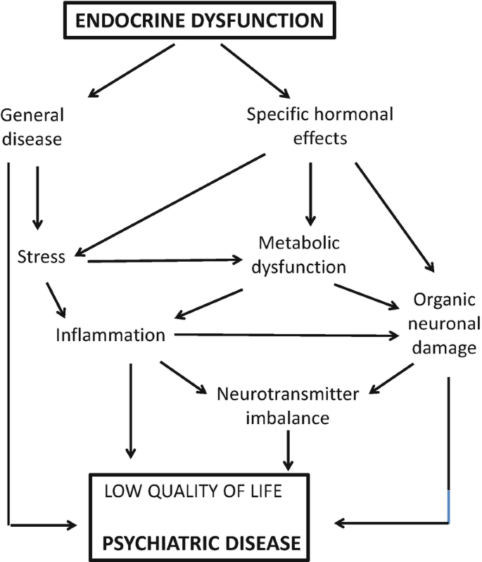 Coping with the Emotional Effects of Endocrine System Disorders Coping with the Emotional Effects of Endocrine System Disorders