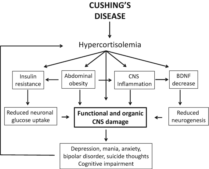 Coping with the Emotional Effects of Endocrine System Disorders Coping with the Emotional Effects of Endocrine System Disorders