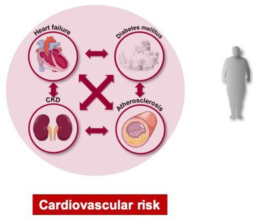 Diabetes Mellitus and Heart Health