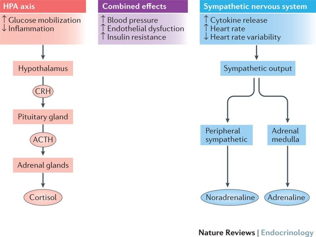 Diabetes Mellitus and Mental Health