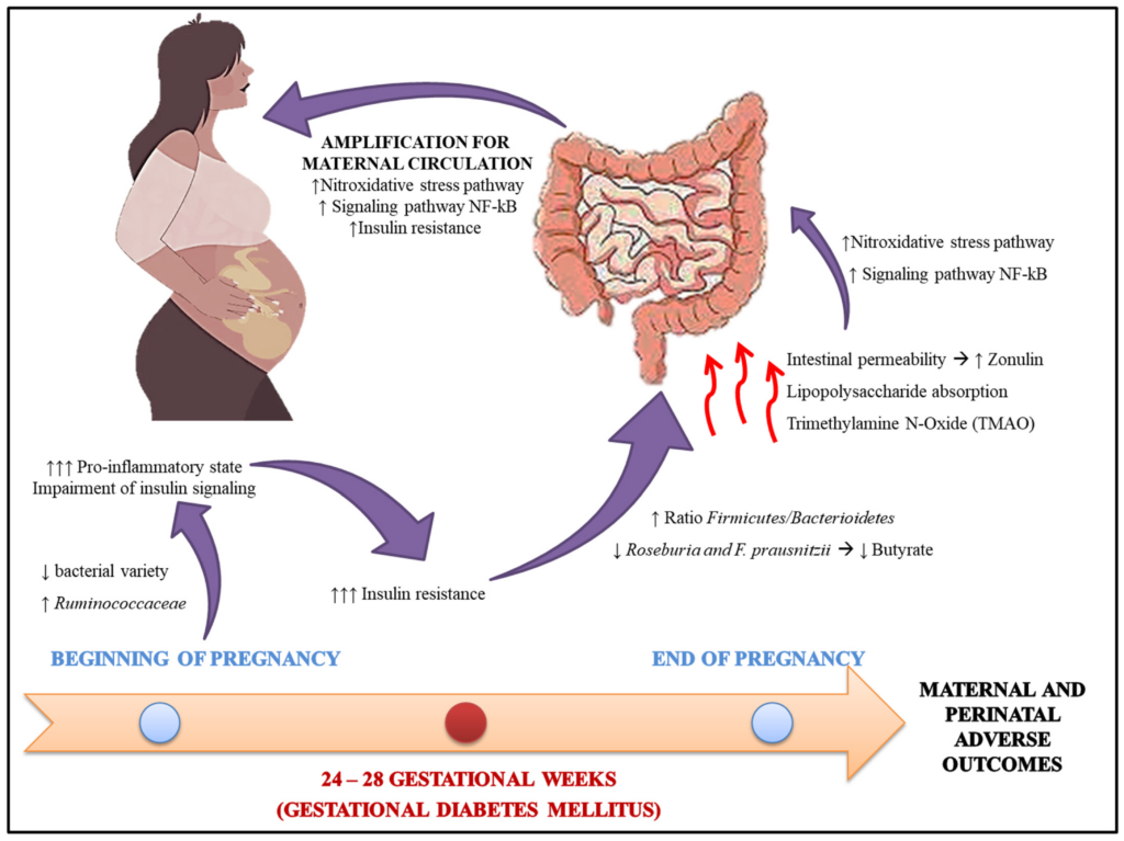 Diabetes Mellitus and Pregnancy