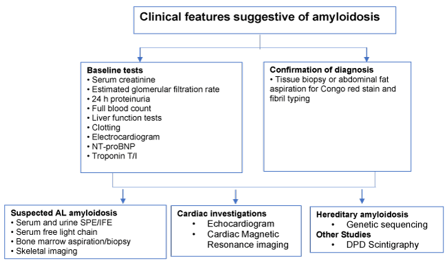 Diagnosing Amyloidosis: Key Tests and Evaluation Methods
