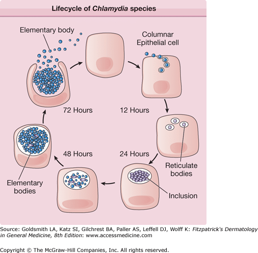 Diagnosing Lymphogranuloma Venereum (LGV)