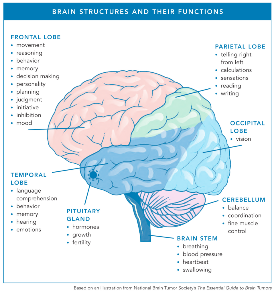 Diagnosis and Treatment of Brain Tumors