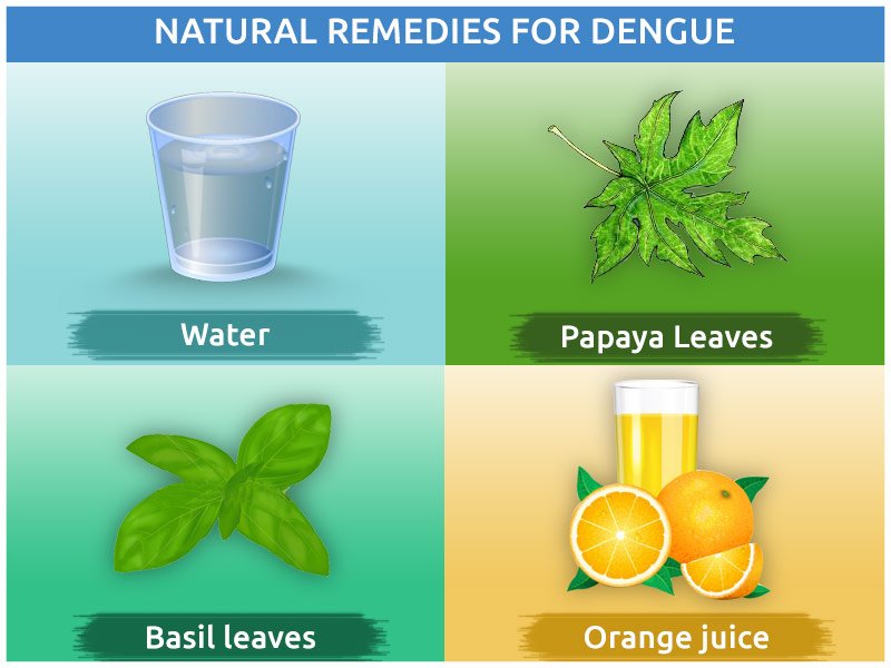 Effective Treatments for Dengue Hemorrhagic Fever