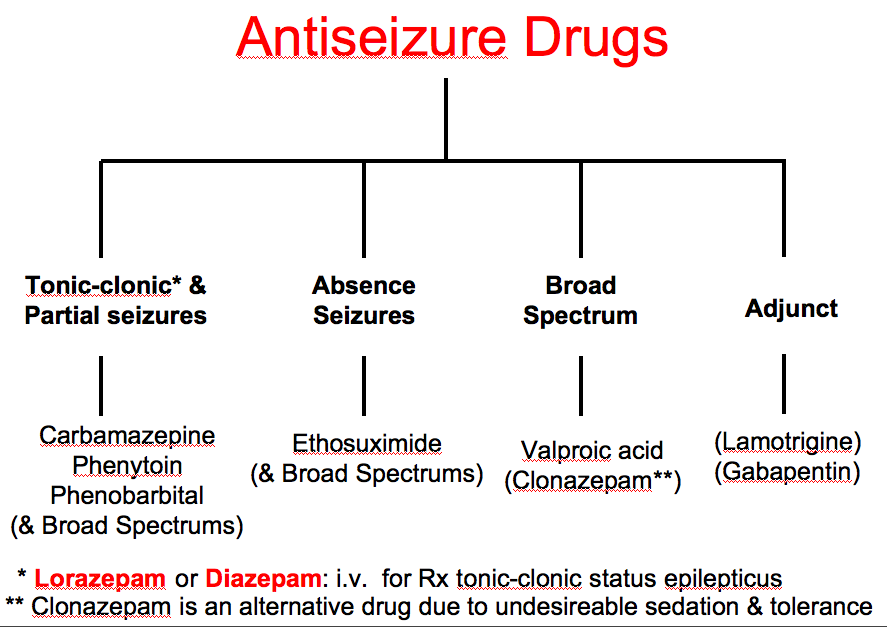 Epilepsy Medications: an Overview of Anti-Seizure Drugs