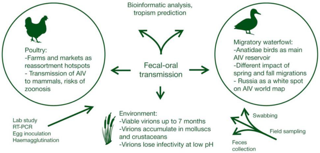 Evaluating the Impacts of Avian-Origin Influenza on Human Health Evaluating the Impacts of Avian-Origin Influenza on Human Health