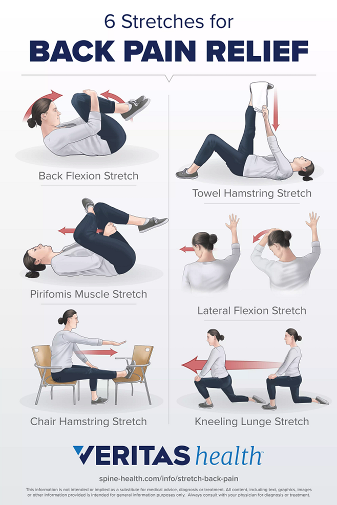 Exercises to Alleviate Back Pain