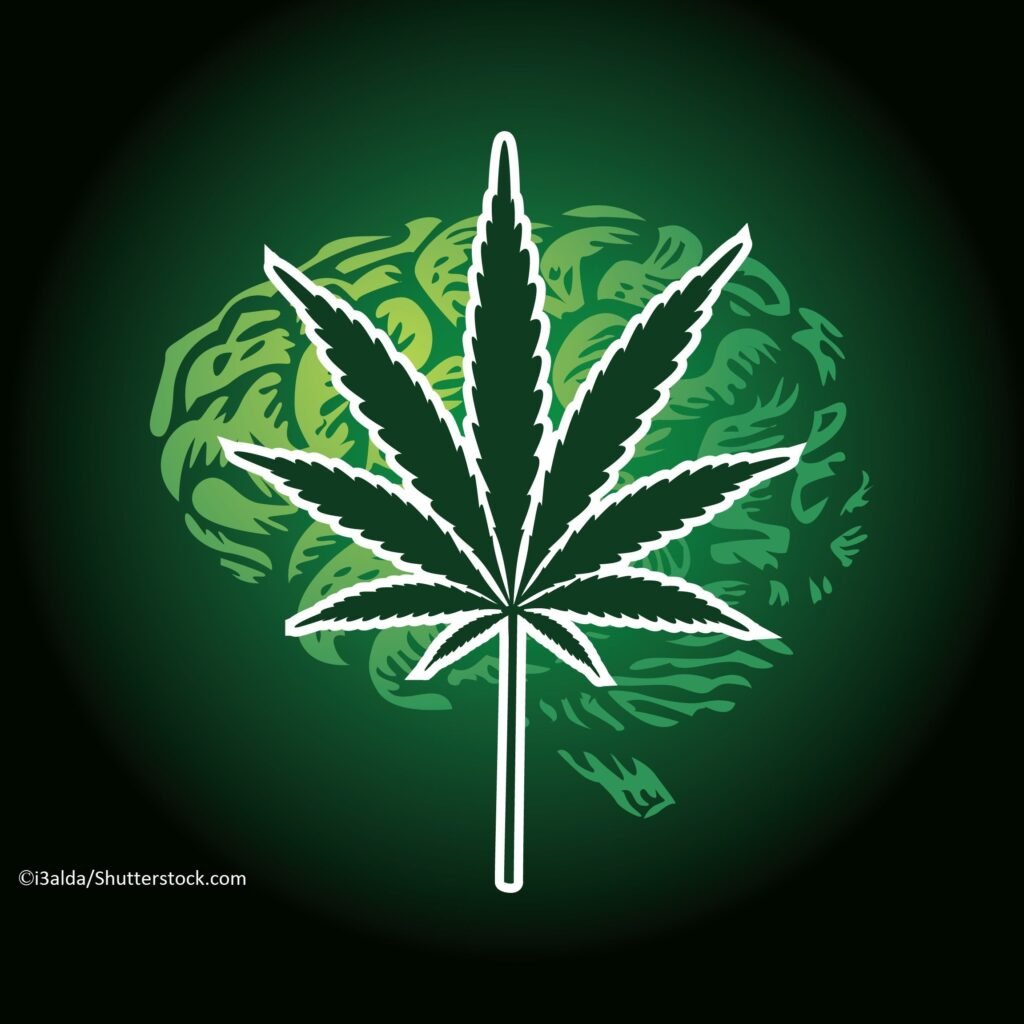 Exploring Effective Treatments for Cannabis Addiction