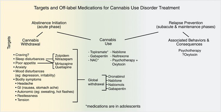 Exploring Effective Treatments for Cannabis Addiction