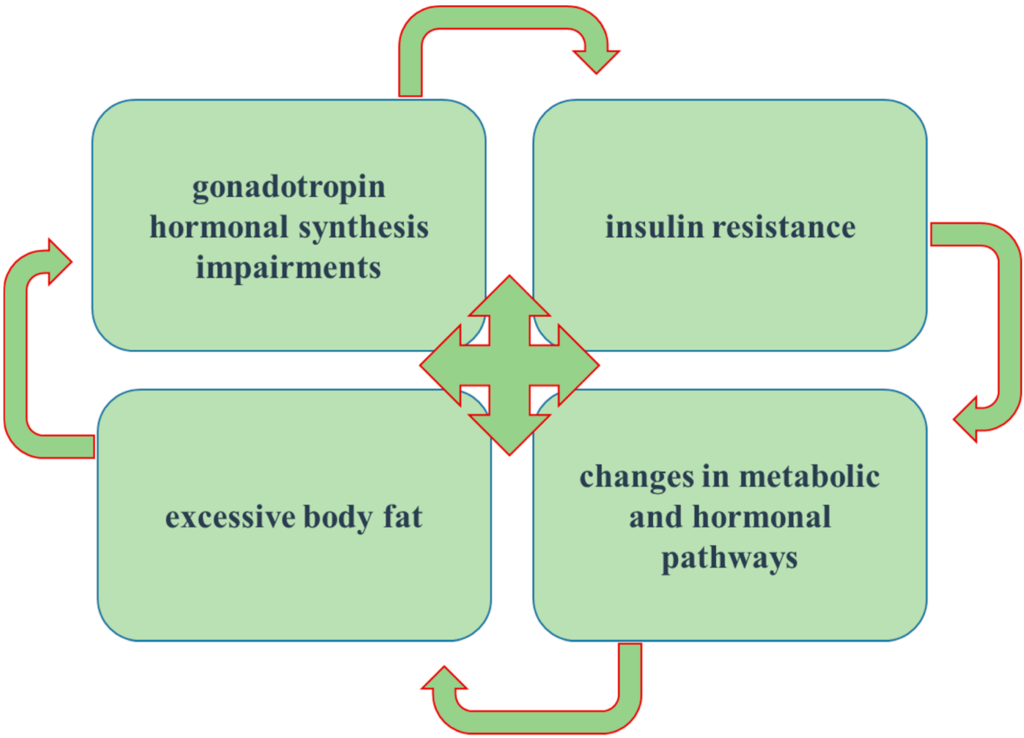 Exploring Insulin Resistance in Women with Polycystic Ovary Syndrome