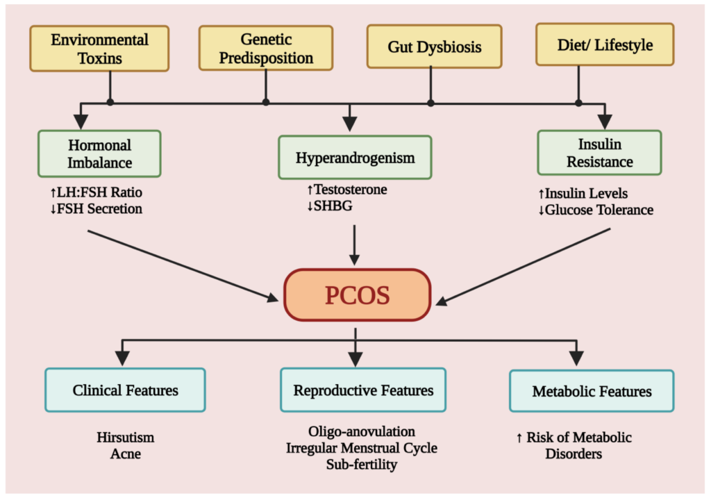 Exploring Insulin Resistance in Women with Polycystic Ovary Syndrome