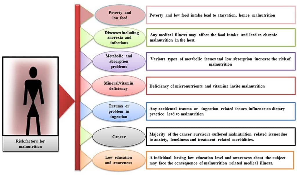Exploring the Causes of Malnutrition in Low-Income Communities