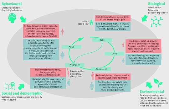 Exploring the Causes of Malnutrition in Low-Income Communities