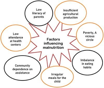 Exploring the Causes of Malnutrition in Low-Income Communities