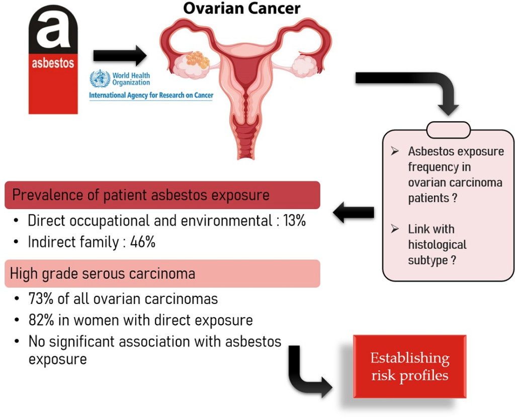 Exploring the Link between Asbestos and Cancer