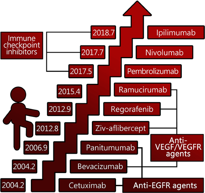 Exploring Treatment Options for Bowel Cancer