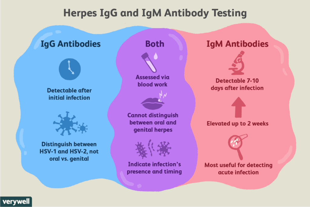 Genital Herpes Testing and Diagnosis Options