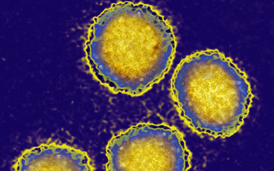 Hepatitis C: The Silent Epidemic Unveiled