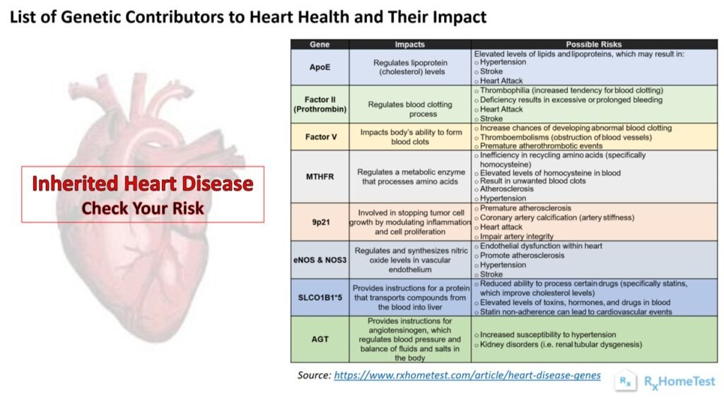 How Inherited Heart Conditions Affect Health