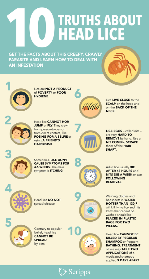 How to Get Rid of Head Lice