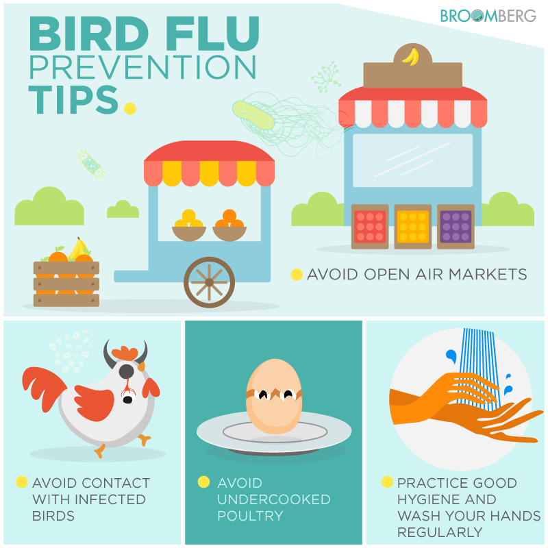 How To Prevent Avian Flu