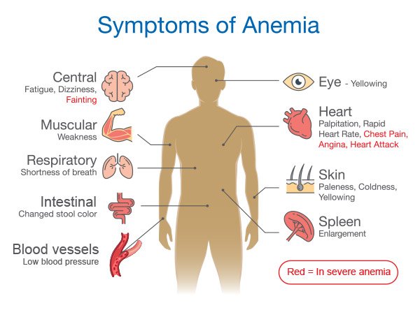 How To Prevent Blood Disorders
