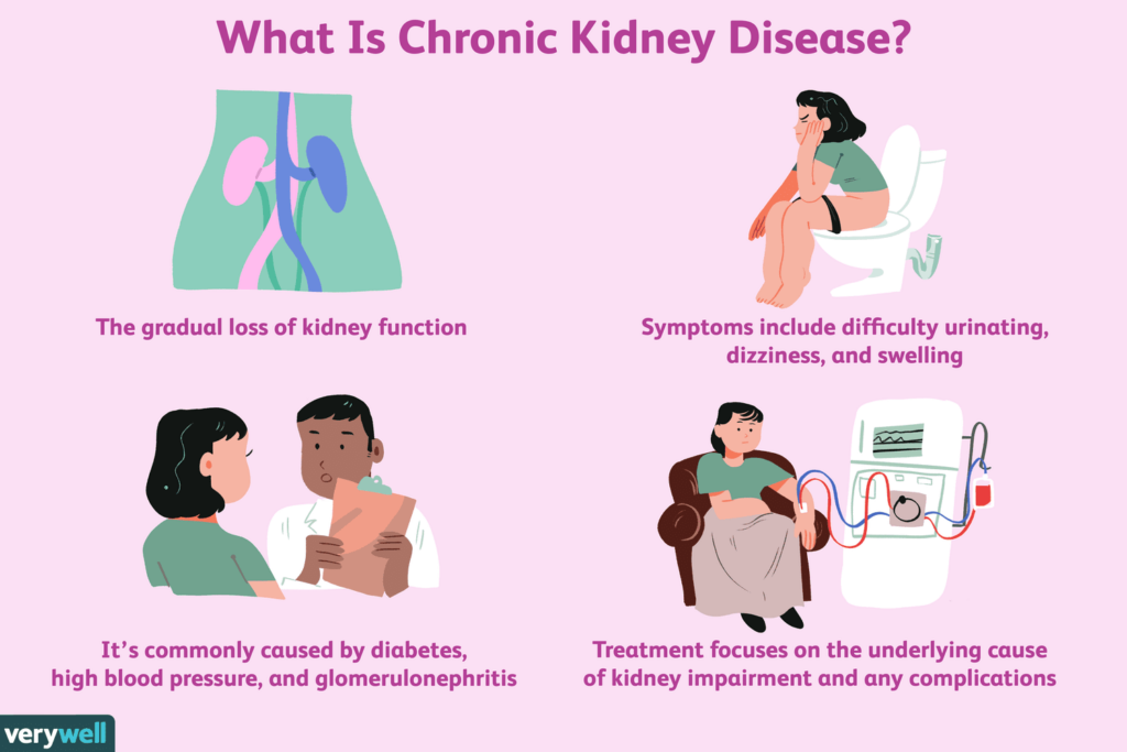 How To Prevent Chronic Kidney Disease