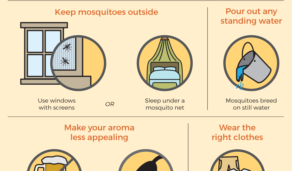 How To Prevent Insect Bites