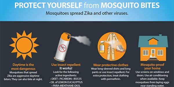 How To Prevent Insect Bites