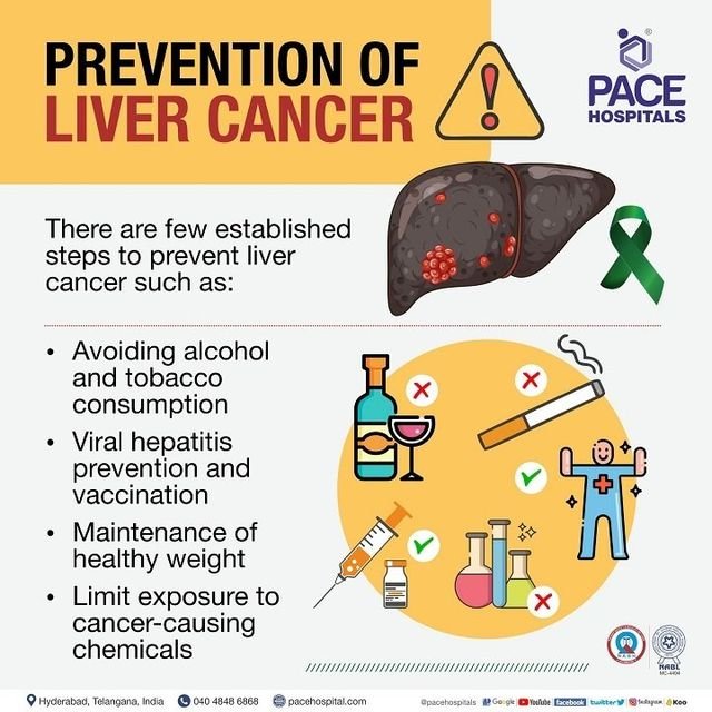 How To Prevent Liver Cancer