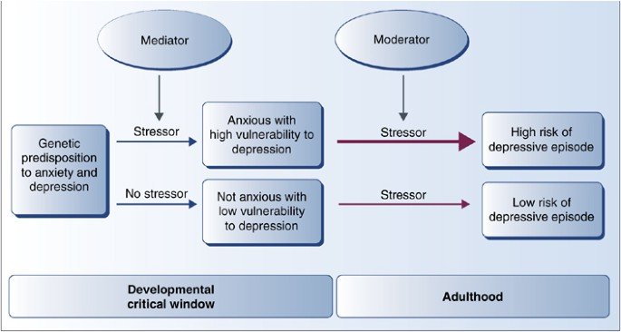 Impact of Anxiety Disorders on Childrens Development Impact of Anxiety Disorders on Childrens Development