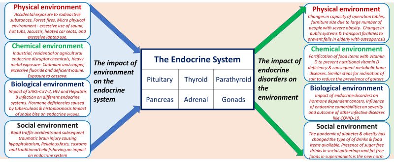 Improving Quality of Life for Individuals with Endocrine System Disorders