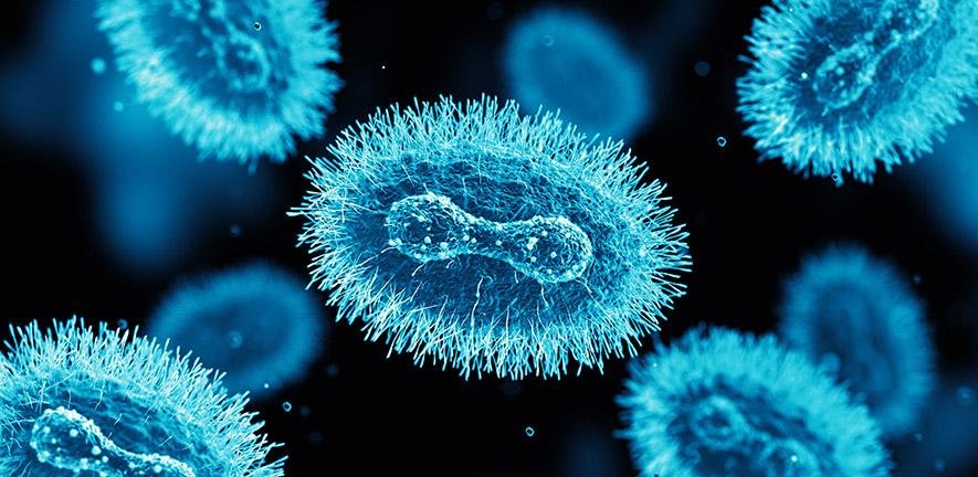 In the Spotlight: The Latest Research on Mpox and Monkeypox